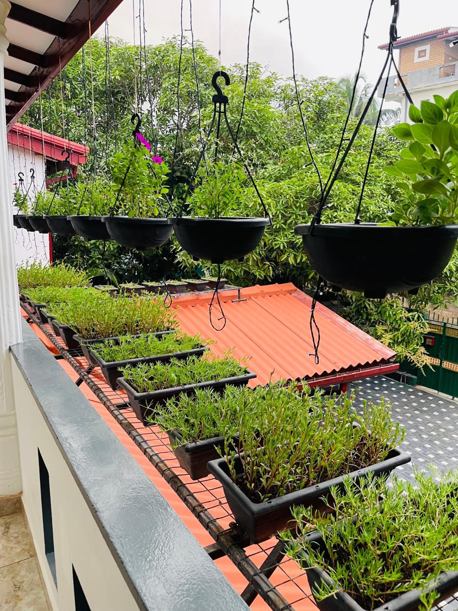 Kanthi Holiday Rest Homestay 米瑞莎 外观 照片