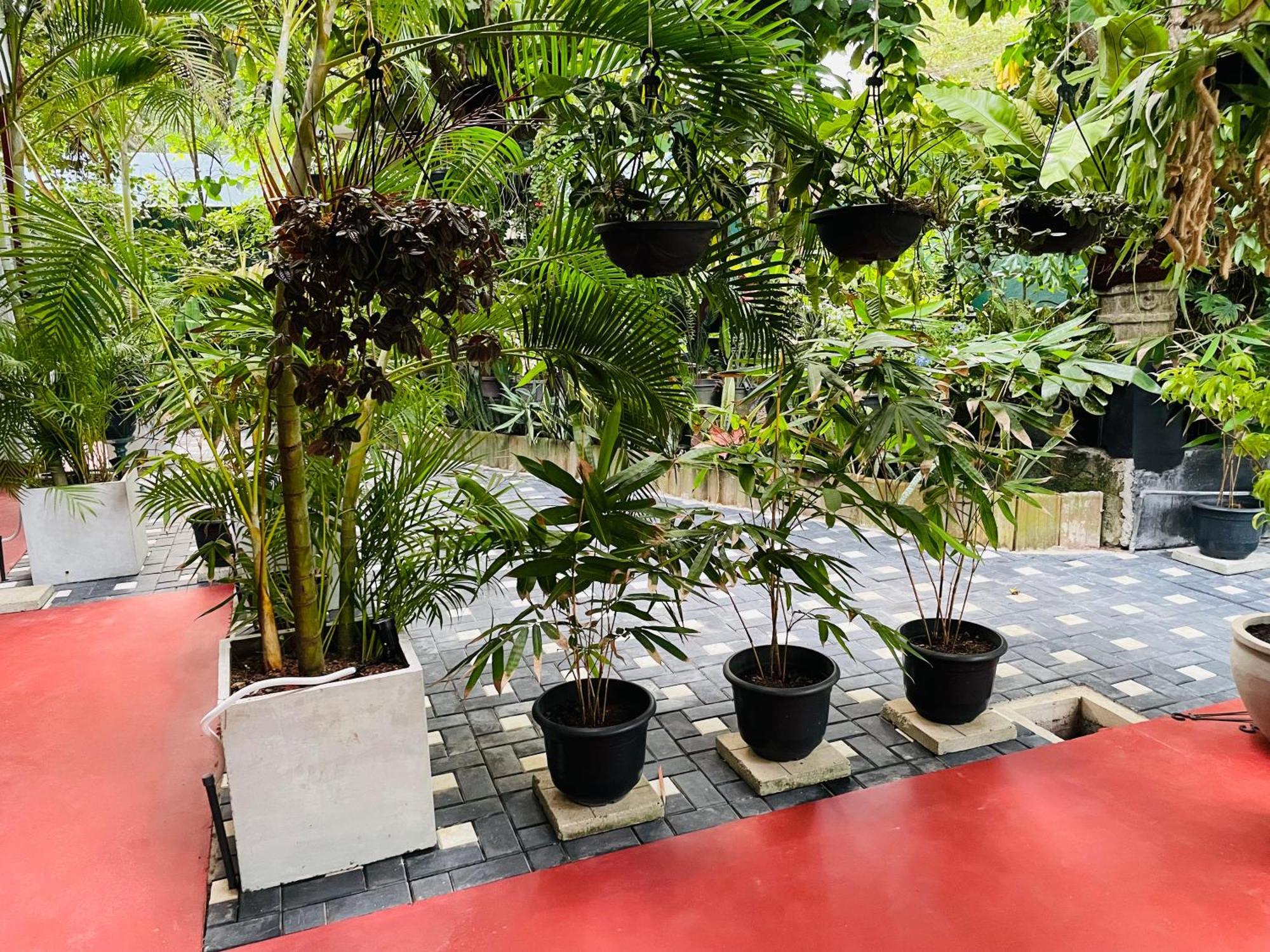 Kanthi Holiday Rest Homestay 米瑞莎 外观 照片